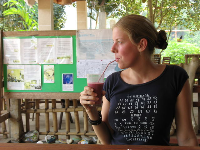 Dégustation d'un mulberry shake à la Phoudindaeng Organic Farm après y être arrivé à vélo IMG_9757.JPG