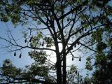IMG_2191.JPG