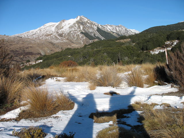 Randonnée Bealey Spur dans le parc national d'Arthur's Pass IMG_3836.JPG
