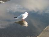 IMG_4168.JPG