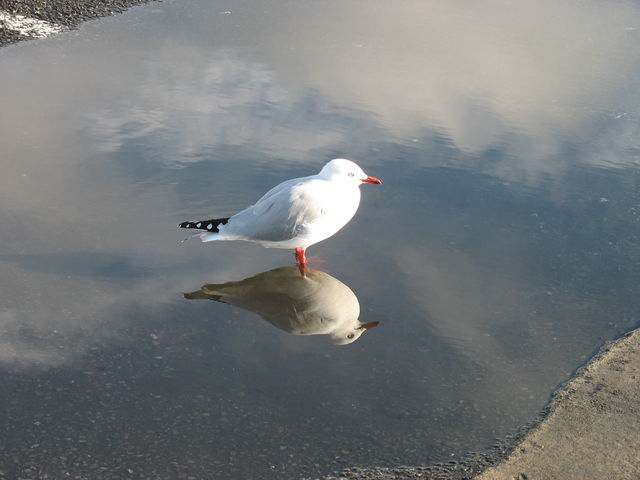 IMG_4168.JPG