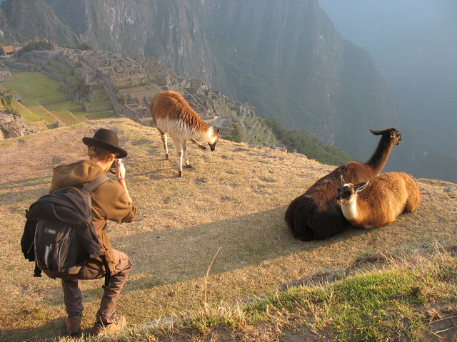 Hugues reporter animalier dans le site du Machu Picchu IMG_5937.JPG