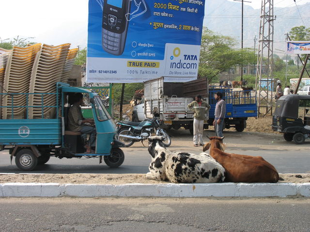 « Inde » (sur le trajet entre Pushkar et Udaipur) IMG_6604.JPG