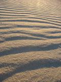 IMG_2497.JPG